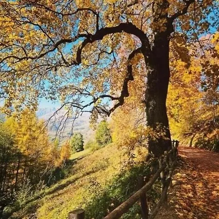 Prázdninový dům La Sorgiva